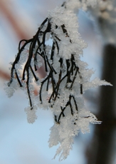 Winterimpressionen 057.jpg